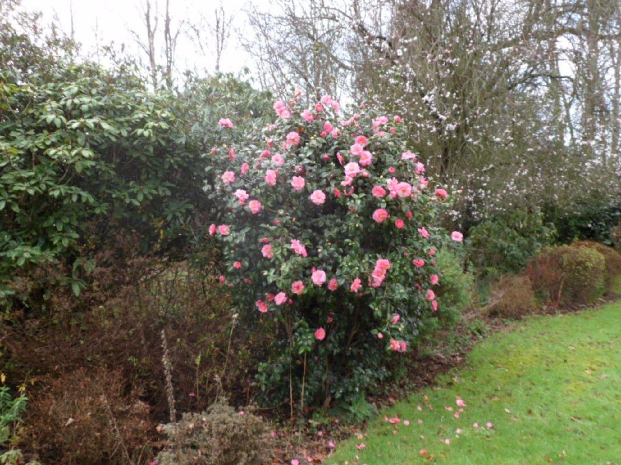 Little Forest Lodge Ringwood Luaran gambar